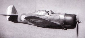 The Hawk was a strong aeroplane, Capable of taking many hits