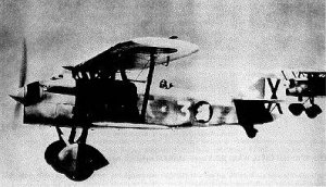 Nice Example of a Fiat CR.32s